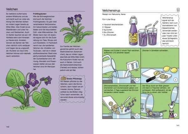 Globis Wald- und Wiesenkochbuch